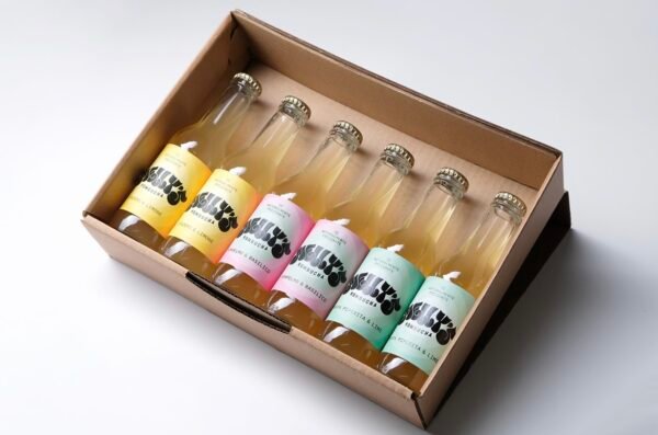 Kombucha cassetta mista da 24