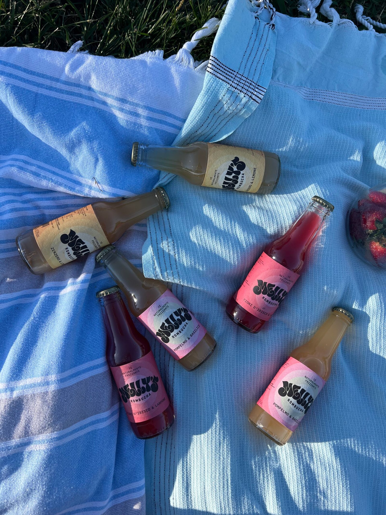 Kombucha cassetta mista da 12